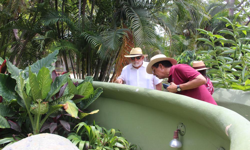 Rectores del CUCosta y CUCSur establecen acuerdos de colaboración