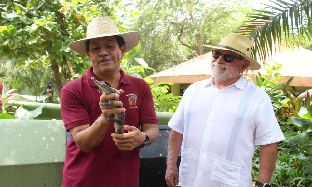 Rectores del CUCosta y CUCSur establecen acuerdos de colaboración