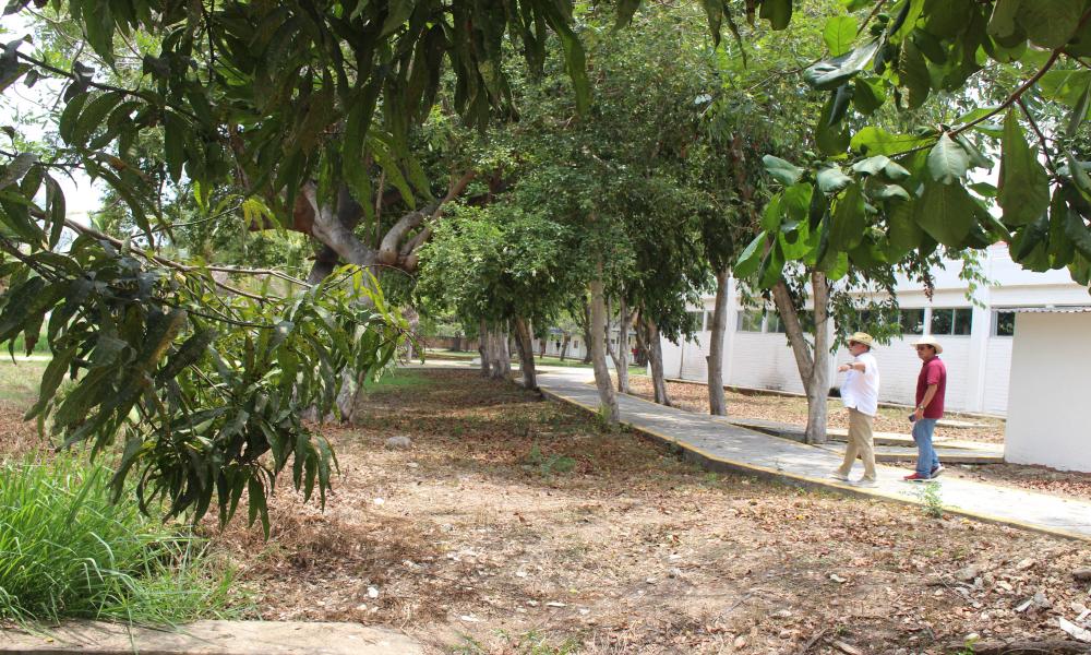 Rectores del CUCosta y CUCSur establecen acuerdos de colaboración