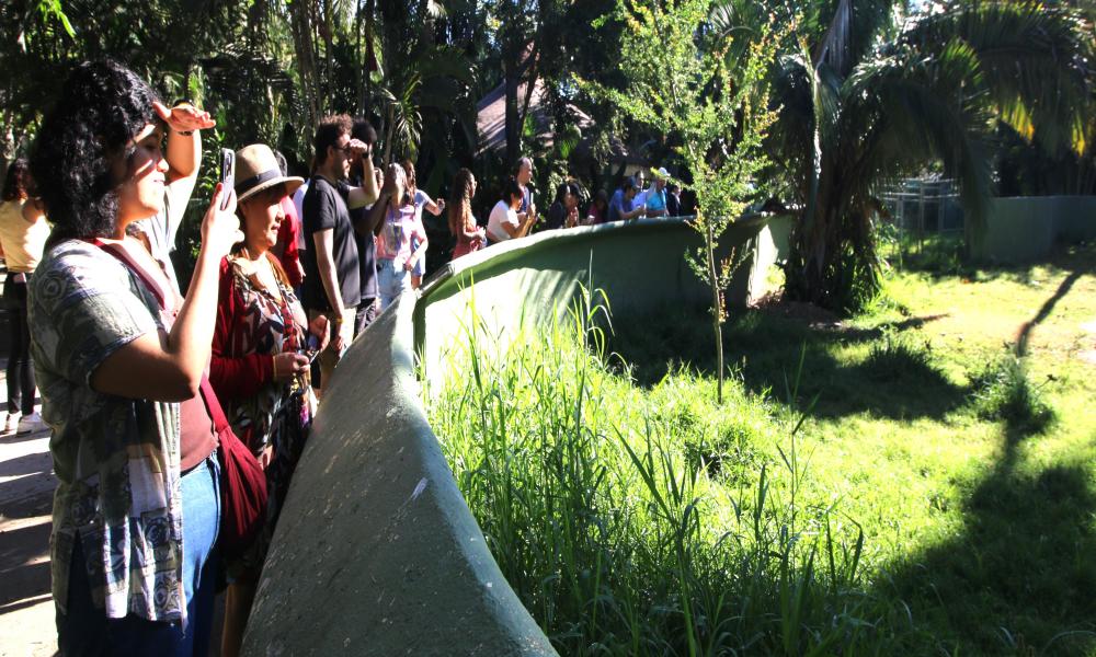 Se realiza por primera vez en CUCosta “Winter School” con el tema de prevención de obesidad infantil