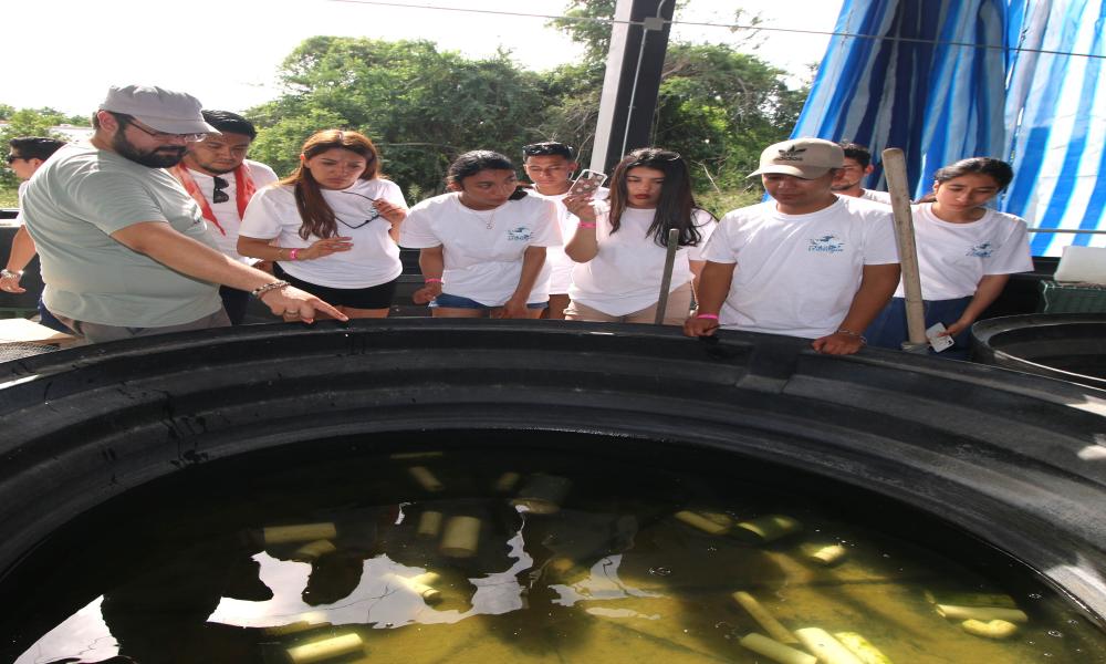 Recibe CUCosta a estudiantes y profesores de Biología de Zacatecas en estancia académica