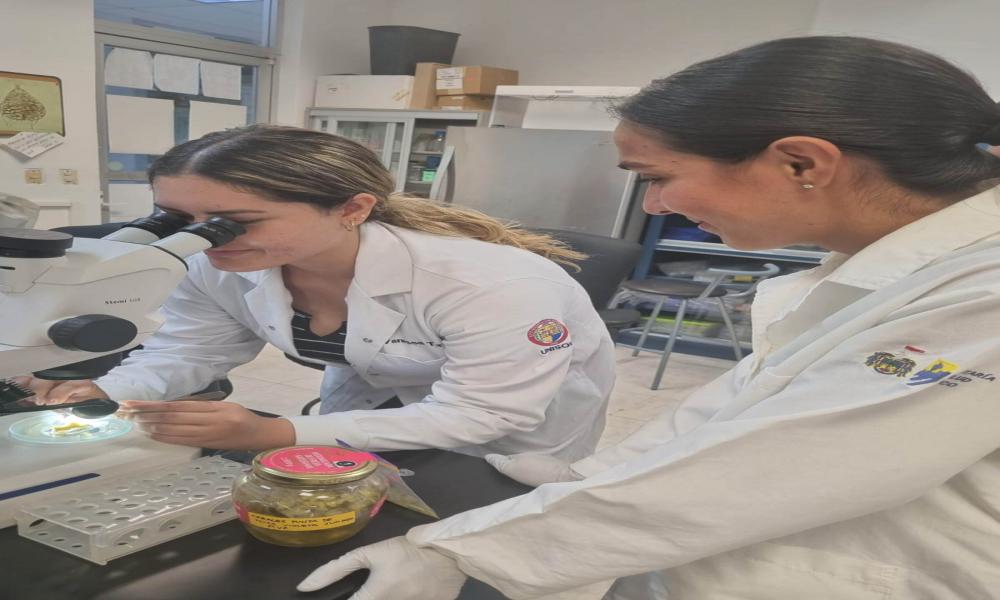 Imparten curso sobre Fisiología de Corales y su respuesta ante condiciones de estrés