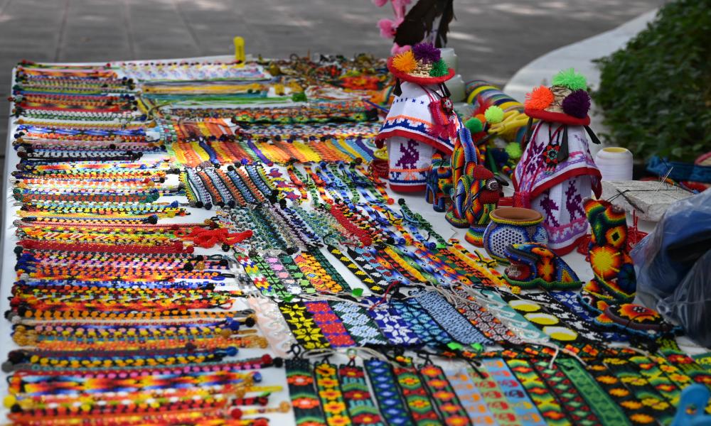 En CUCosta celebraron el “Día Internacional de la Lengua Materna”