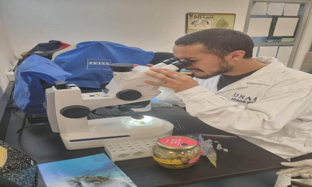 Imparten curso sobre Fisiología de Corales y su respuesta ante condiciones de estrés