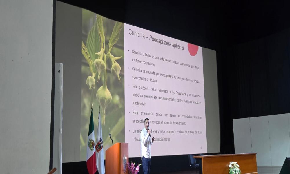 Ciencia y cultura se entrelazan en el VI Congreso de Entomología Aplicada