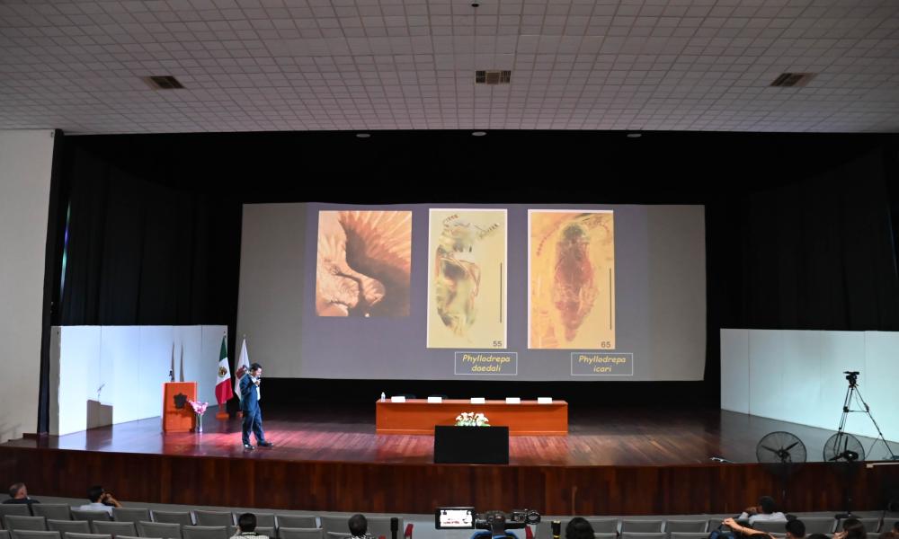 Ciencia y cultura se entrelazan en el VI Congreso de Entomología Aplicada