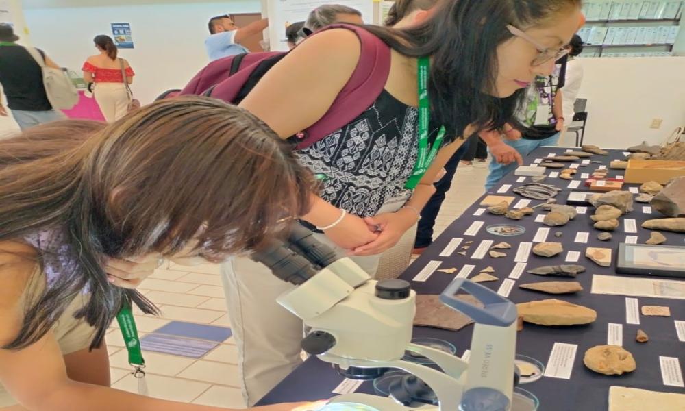Ciencia y cultura se entrelazan en el VI Congreso de Entomología Aplicada
