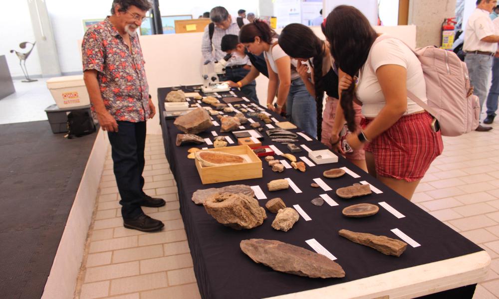 Ciencia y cultura se entrelazan en el VI Congreso de Entomología Aplicada