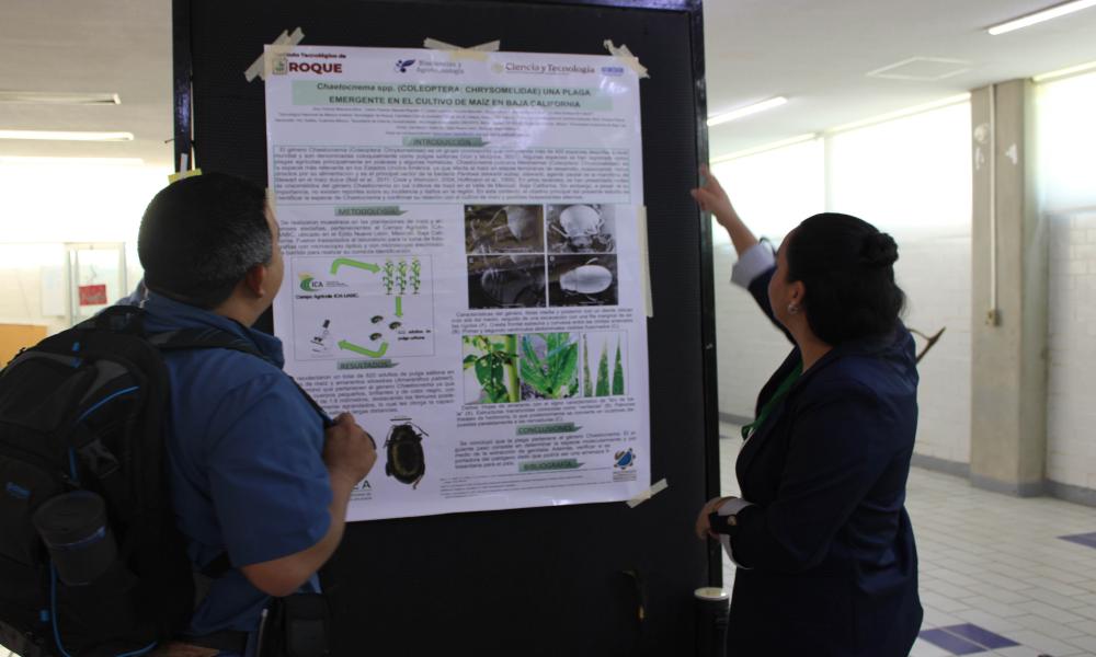 Ciencia y cultura se entrelazan en el VI Congreso de Entomología Aplicada