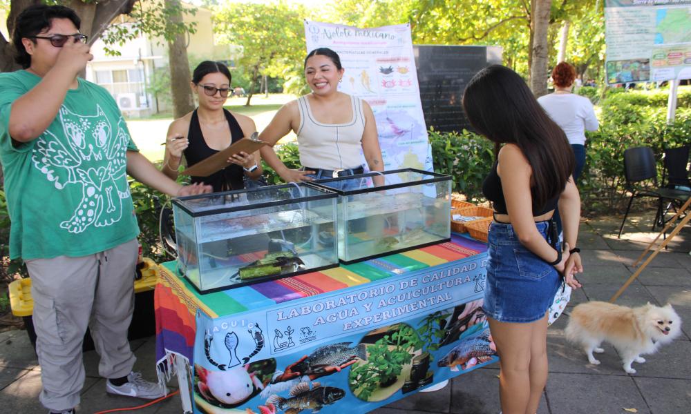 Celebra CUCosta el Día Mundial de los Animales con la Feria Ambiental