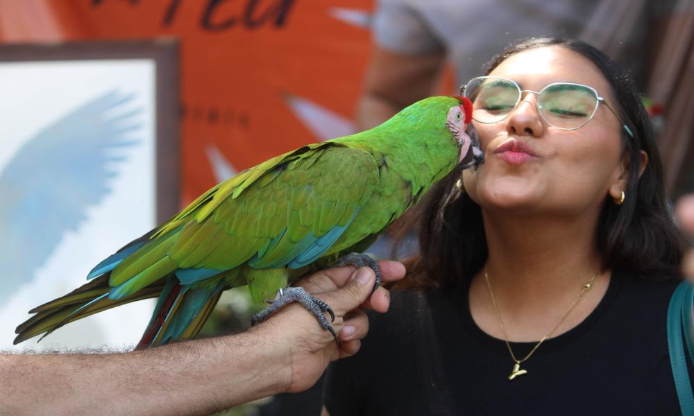 Celebra CUCosta el Día Mundial de los Animales con la Feria Ambiental