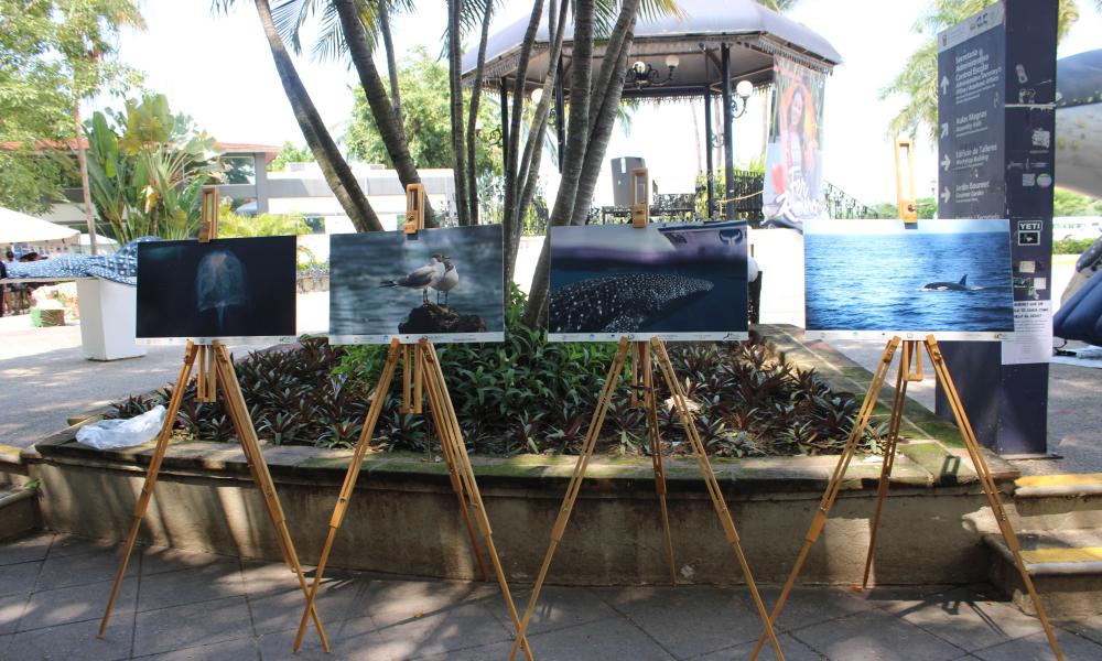 Celebra CUCosta el Día Mundial de los Animales con la Feria Ambiental