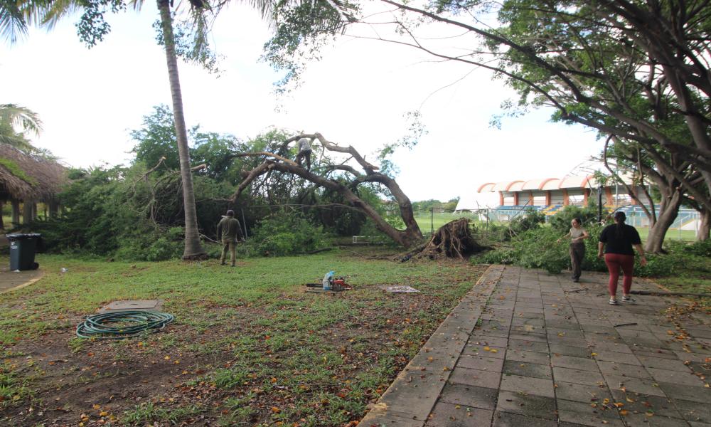 Muestra de fortaleza de la Comunidad del Cucosta