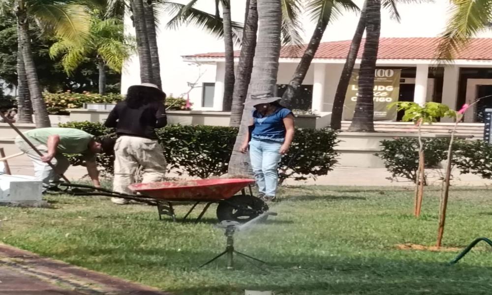 Estudiantes del CUCosta participan en jornada de mantenimiento y reforestación de áreas verdes universitarias