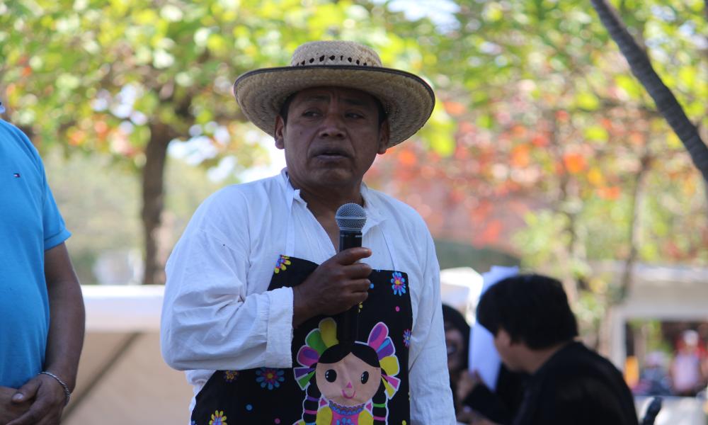 Inicia el Festival “Raíces Vivas: Arte, Lengua y Tradición” en el CUCosta