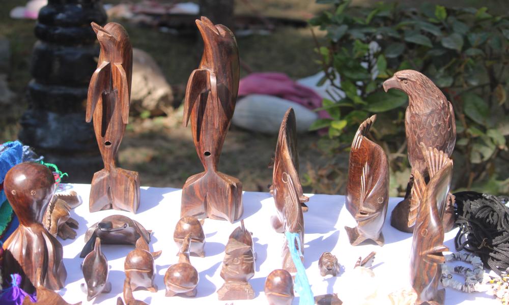 Inicia el Festival “Raíces Vivas: Arte, Lengua y Tradición” en el CUCosta