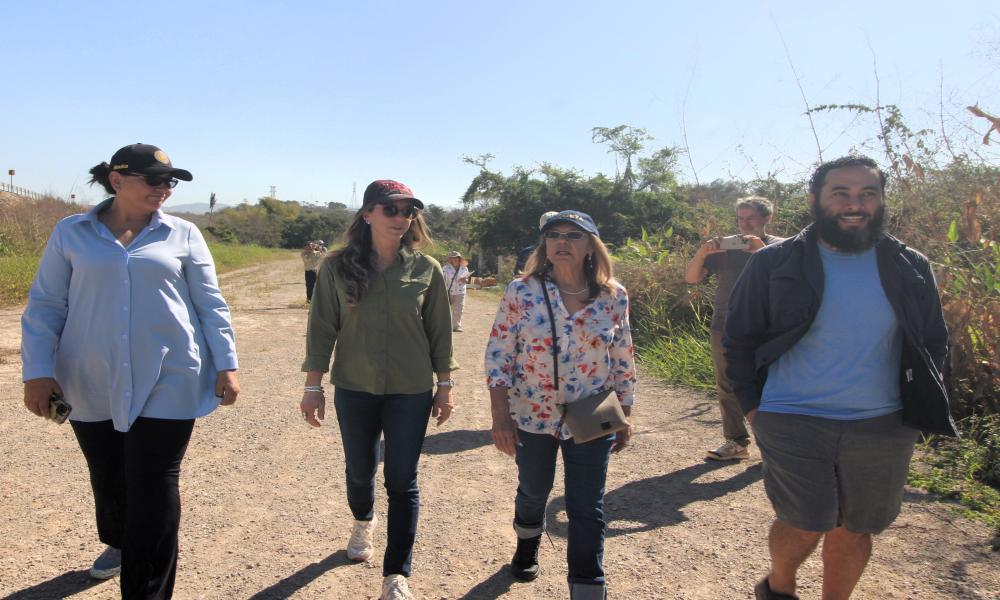 Impulsan estrategia interinstitucional para proteger el hábitat de la tortuga Casquito Vallarta