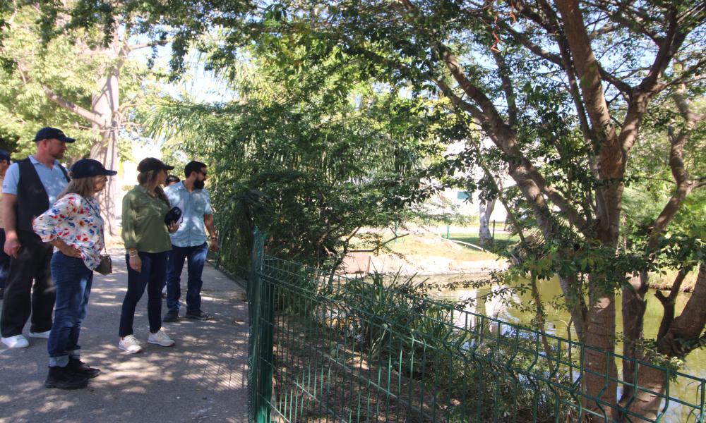 Impulsan estrategia interinstitucional para proteger el hábitat de la tortuga Casquito Vallarta