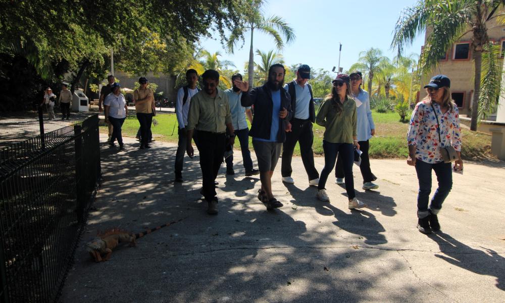 Impulsan estrategia interinstitucional para proteger el hábitat de la tortuga Casquito Vallarta