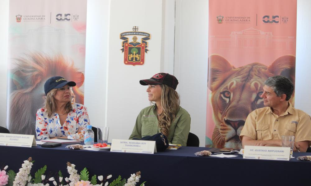 Impulsan estrategia interinstitucional para proteger el hábitat de la tortuga Casquito Vallarta