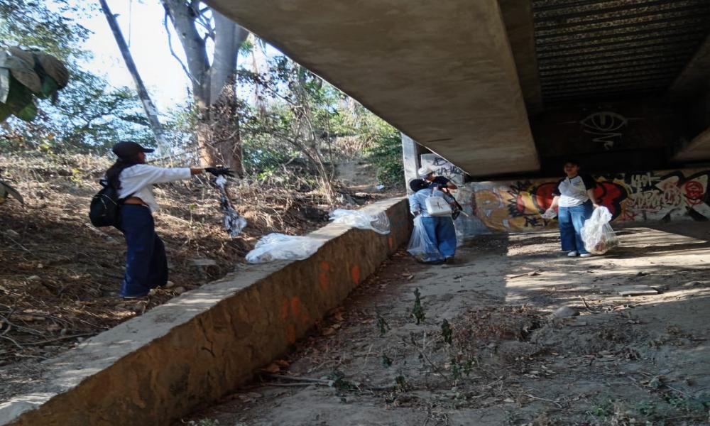 Estudiantes del CUCosta participan en jornada de limpieza en el río Pitillal