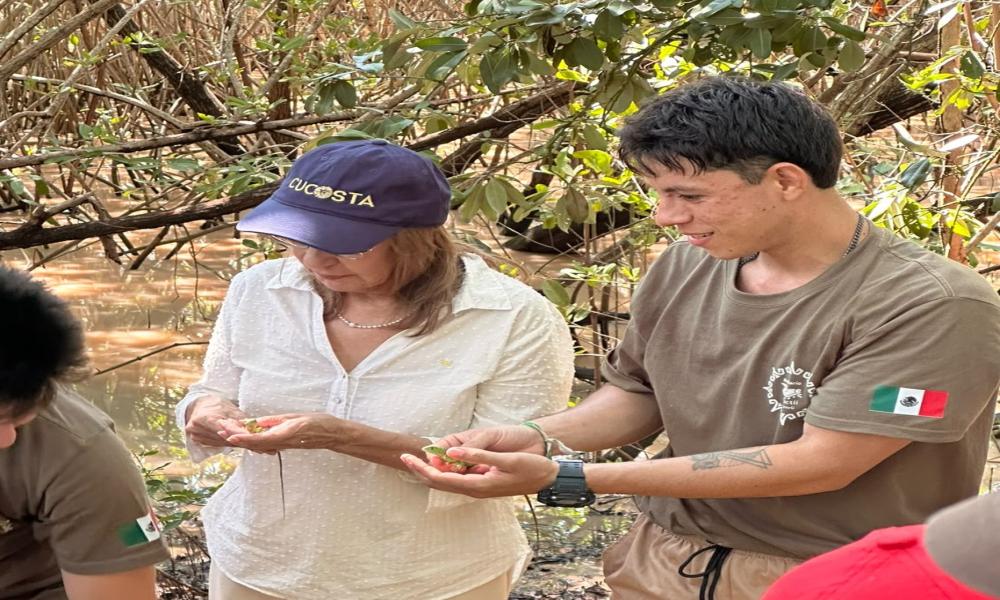 CUCosta participó en la liberación de 180 crías de iguana verde durante el 26 aniversario del Estero El Salado 