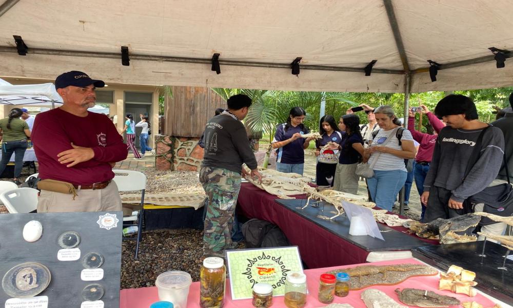 CUCosta participa en el Primer Festival del Cocodrilo en el Estero El Salado