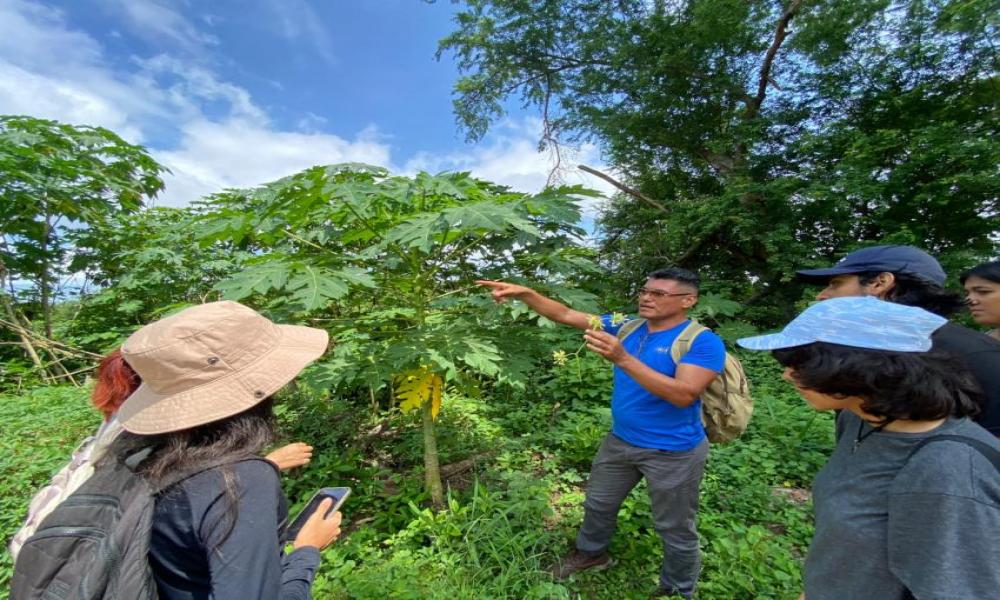 Home River BioBlitz