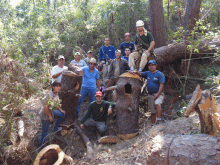 Reintroducen Nidos de Guacamayas que fueron derribados y hurtados por Cazadores Furtivos