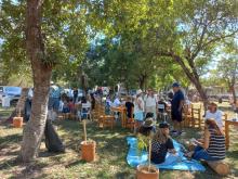 TEXTURAS EN SINFONÍA DE PINO