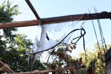 Universitarios construyen “Casa Castillo” tras incendio de vivienda en Col. Cristóbal Colón