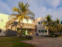 Académicos del CUCosta destacan en el Sistema Nacional de Investigadores