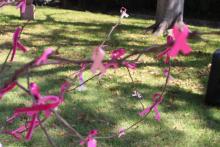 Promueven actividades preventivas vs cáncer de mama en CUCosta