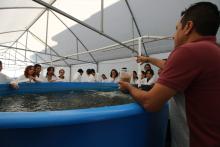 Inician clases en el nuevo edificio de Acuicultura del CUCosta
